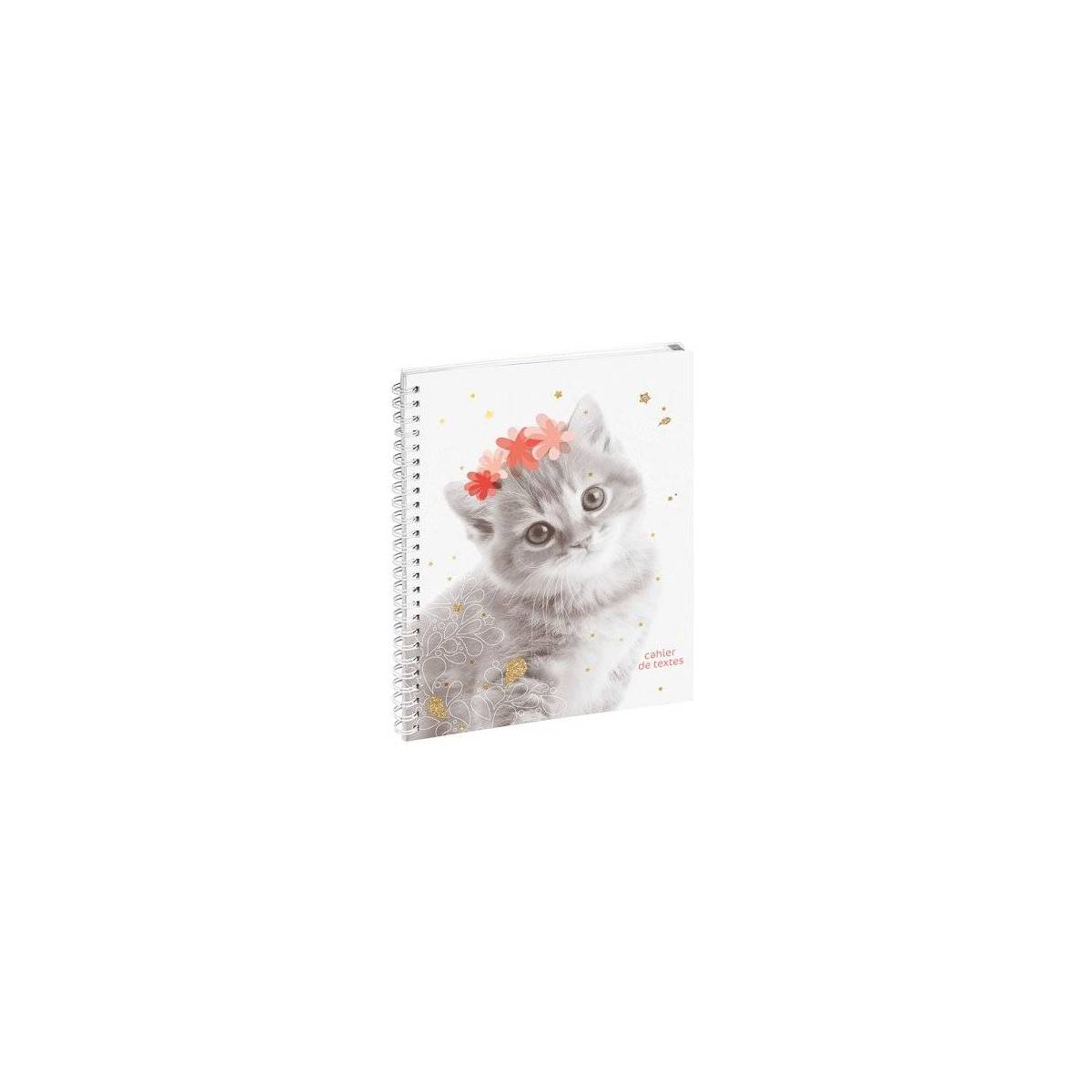 Farbe Lovely Kaninchen Notizbuch 17 x 22 cm