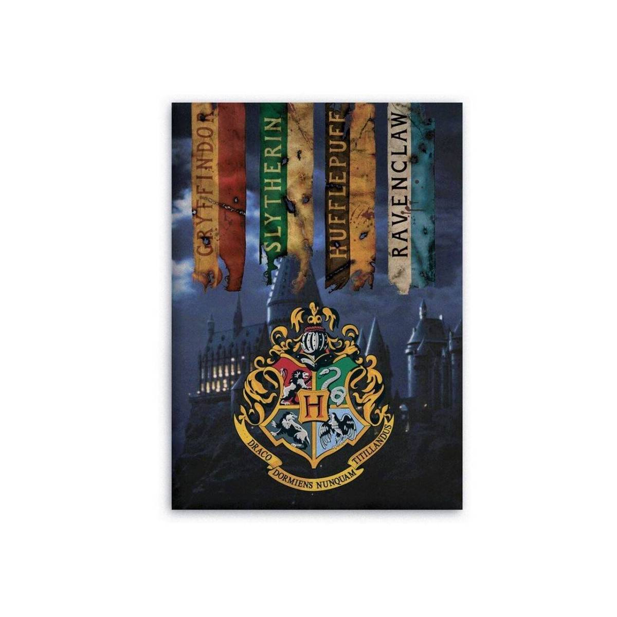 Blue Harry Potter Fleece Throw 100 x 140 cm