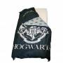 Harry Potter duvet cover + pillowcase 140 x 200cm