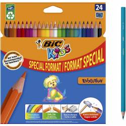 24 Crayons de Couleurs BIC Kids Evolution