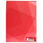 Pack of 10 notebooks 24 x 32 cm 96 pages Large squares