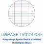 Clairefontaine - Koverbook Piqué Polypro Transparentes Notizbuch - Große Fliesen - 96 Seiten - 24 x 32 cm