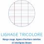 Calligraphe Cahier de Travaux Pratiques Incolore - 24x32 cm - 96 Pages Grands Carreaux - Pollypro Transparent