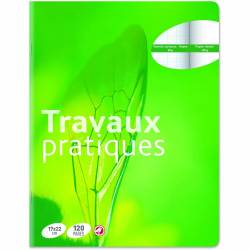 Cahier de Travaux Pratiques Auchan 17x22 cm 120 pages Petits Carreaux