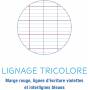 Cahier Travaux Pratiques 64 pages 17x 22 cm Polypro Calligraphe