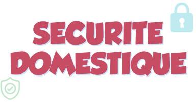 Domestic Security